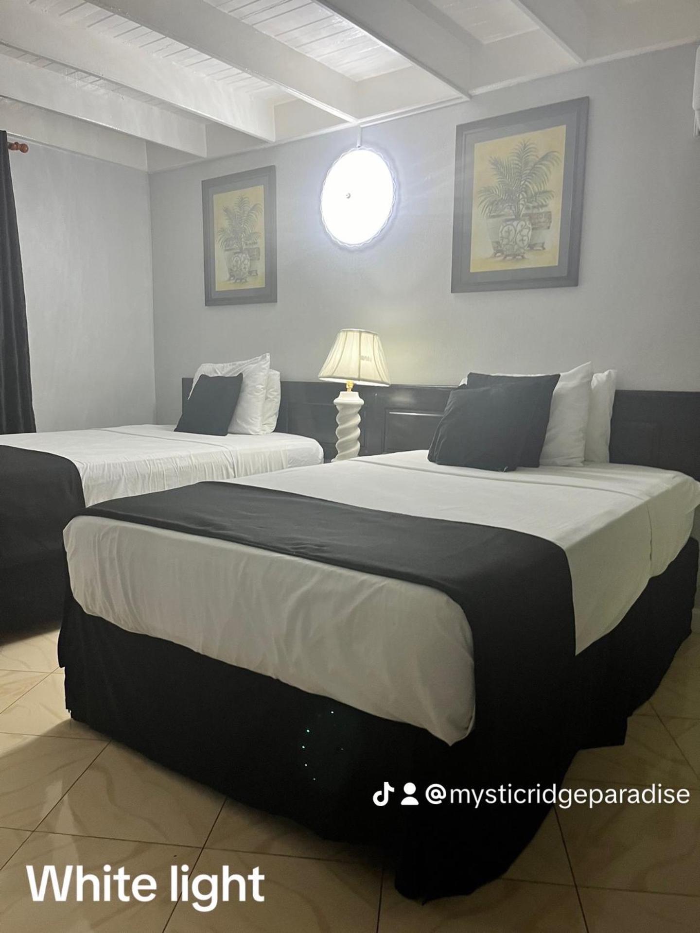 Mystic Ridge Paradise Ocho Rios Eksteriør billede