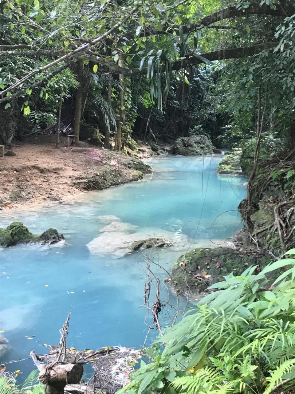 Mystic Ridge Paradise Ocho Rios Eksteriør billede